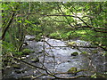 Haltwhistle Burn