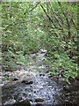 Haltwhistle Burn (2)