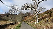 NT3033 : The Glen Road by Richard Webb