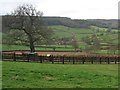 View South From Higher Wadden farm