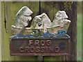 Frog Crossing