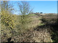 Scrubland near Philadelphia Farm