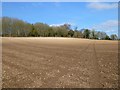 Farmland, Longparish