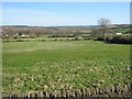 Pasture Land at Lane Ends