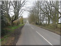 Road to Bolam West Houses