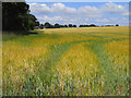 Farmland, Ludgershall