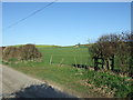 Fields next to Bere Down Lane