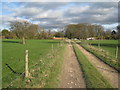 Footpath through the park