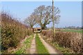 Walkford Lane - Dirt Track Portion