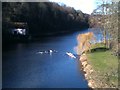 NZ2741 : Rowing on the River Wear, Durham by John H Darch