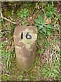 Milestone 16, Arran