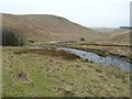 Sheepfold beside the River Coquet