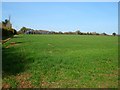 Farmland, Wonston