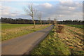 Country road near Jackaments Bottom