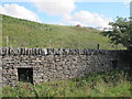NY9551 : Sheepholes in dry stone wall above Shildon Burn by Mike Quinn