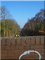 The railway line by Badnam Copse looking north