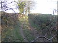 Green Lane near Looe Mills Farm