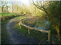 Footpath with pond off School Road