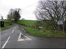 H4851 : Shantonagh Road, Tullyquin Glebe by Kenneth  Allen