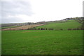 Farmland, Peacehaven Farm