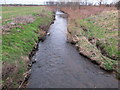 The Muckle Burn from the Footbridge