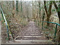 Steps down from a cycleway near Ynysddu