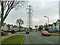 Harcourt Avenue - a rather unusual road