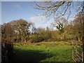 Meadow near Westmere