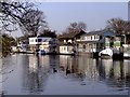 Houseboats moored by Tagg