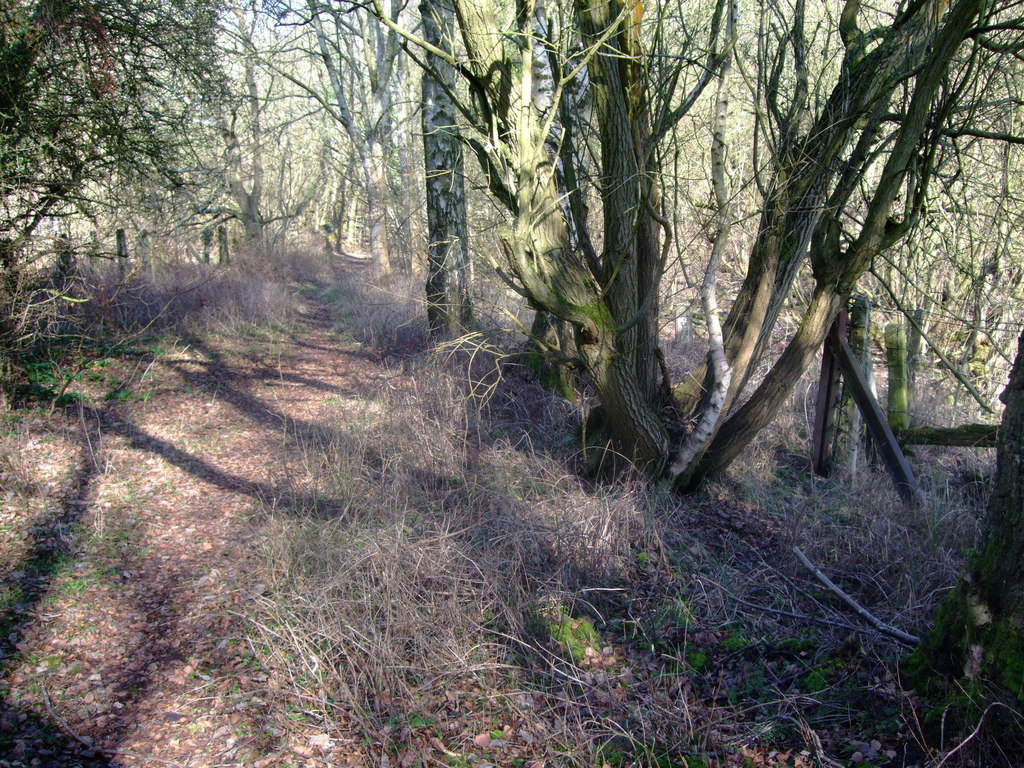 Disused GWR Highworth branch line © Vieve Forward :: Geograph Britain ...