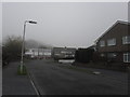 Early morning mist in Stansted Crescent (b)