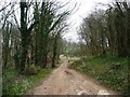 SE4530 : Woodland footpath and farm track by Christine Johnstone