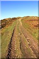 SJ1367 : Offa's Dyke Path on Penycloddiau by Jeff Buck