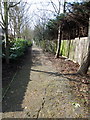 Wooded path between the houses