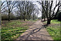 Wooded Redway at Coffee Hall