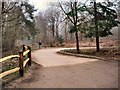 Path to Roosthole Car Park