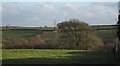 Towards the Den Brook valley