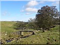 Bridge over Beldon Beck