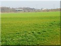 Farmland at the Soiling Farm