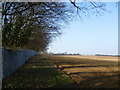 Footpath alongside Ebbsfleet Valley