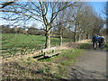 Seat on Brandon-Bishop Auckland Railway Path