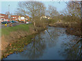 River Wey, Old Woking