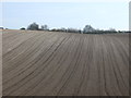 Ploughed field off the A165