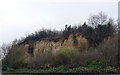 The Sand Martin Cliff, Chafford Gorges