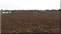 A ploughed field, Upper Spittleton