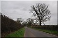 ST5115 : South Somerset : Country Road by Lewis Clarke