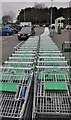 Yeovil : ASDA Superstore Trolleys