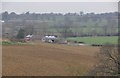 South Somerset : Countryside & Broadleaze Farm