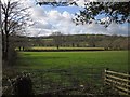 Tavy flood plain