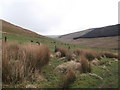 SJ0832 : Looking towards Cwm Maen Gwynedd from the bridlepath by Jenni Miller